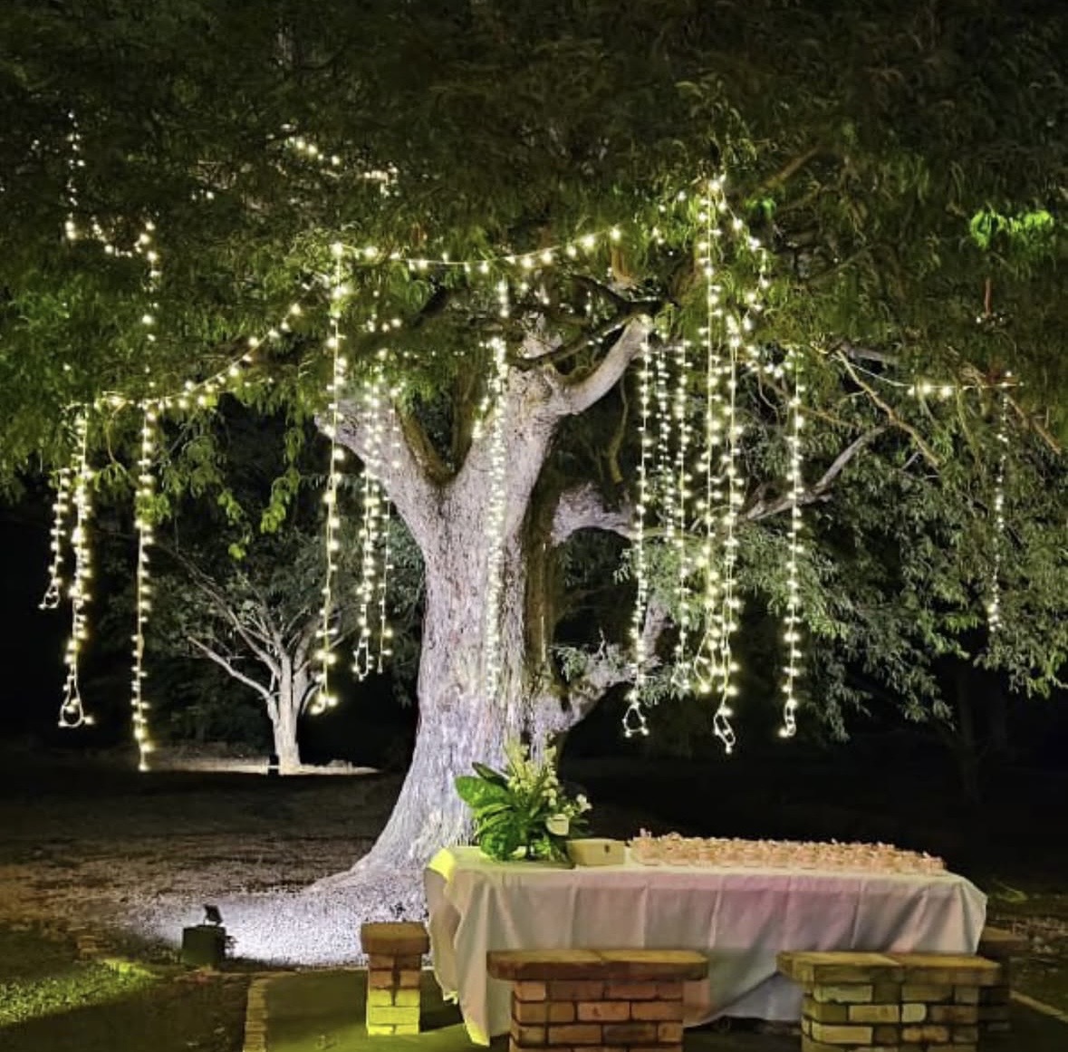 Domaine Walinzi celebration setting