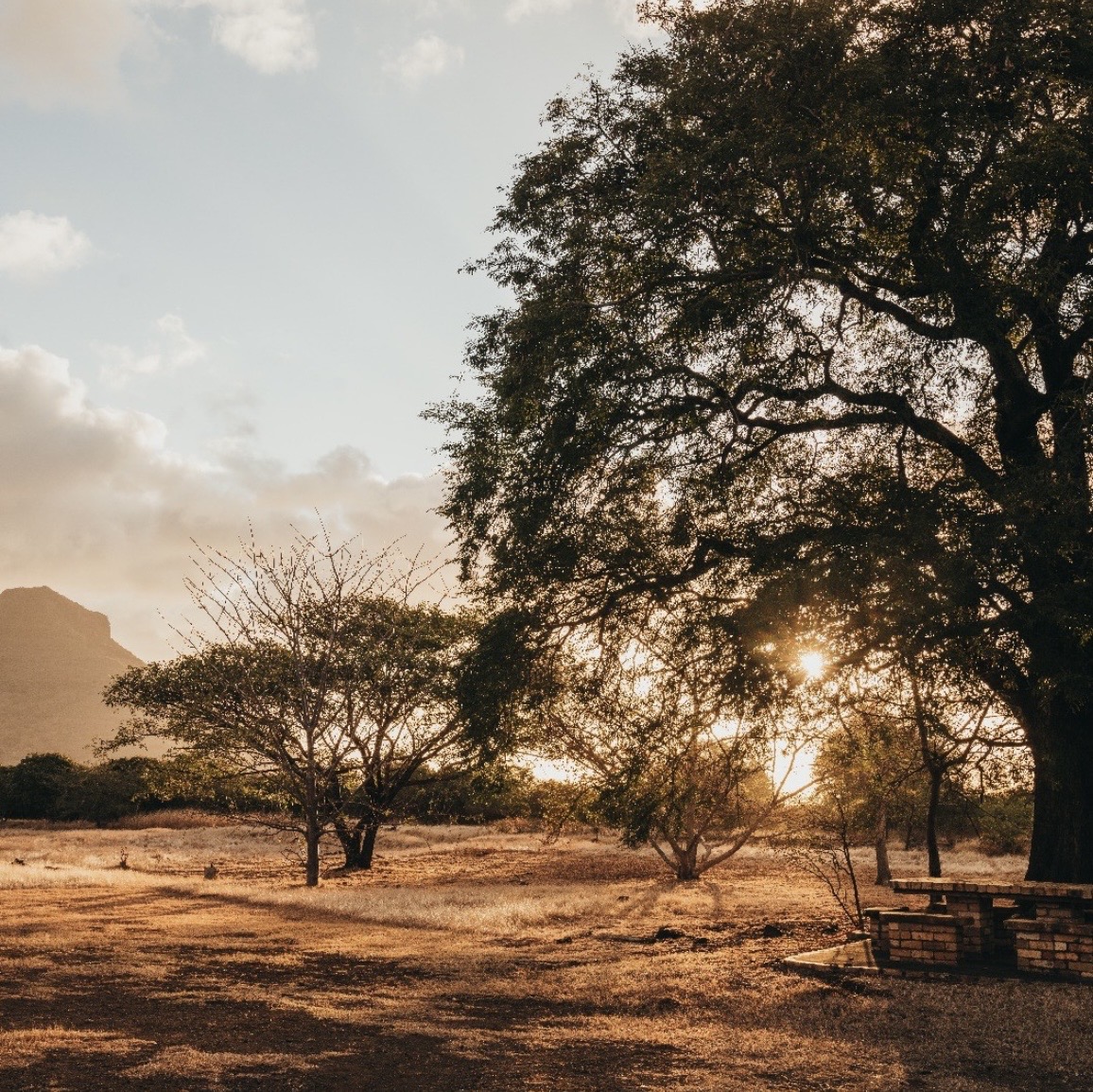 Sunset over Domaine Walinzi grounds